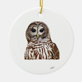 Barred Owl Keramisch Ornament