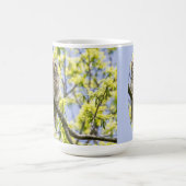 Barred Owl Koffiemok (Center)