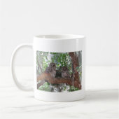 Barred Owl Koffiemok (Links)