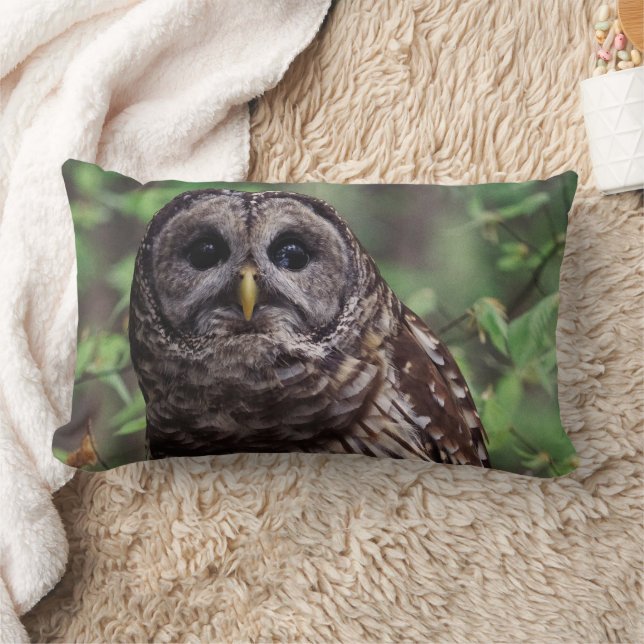 Barred Owl Kussen (Deken)