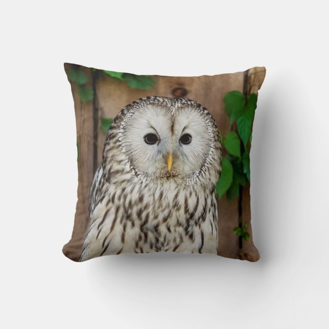 Barred Owl Kussen (Voorkant)