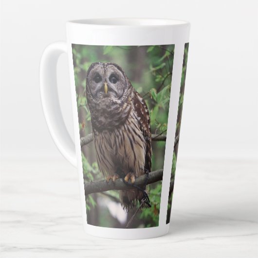 Barred Owl Latte Mok (Linkerhoek)