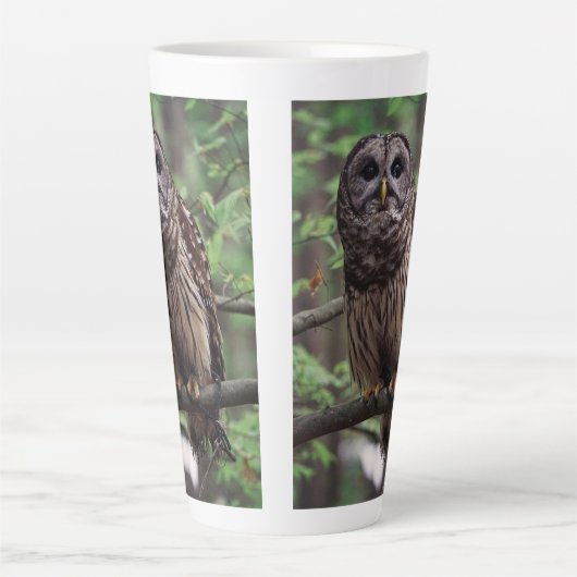 Barred Owl Latte Mok (Voorkant)