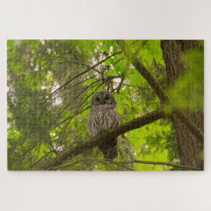 Barred Owl Legpuzzel