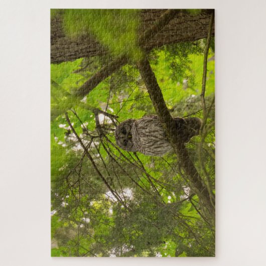 Barred Owl Legpuzzel (Verticaal)