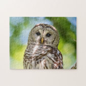Barred Owl Legpuzzel (Horizontaal)