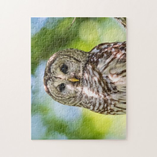 Barred Owl Legpuzzel (Verticaal)