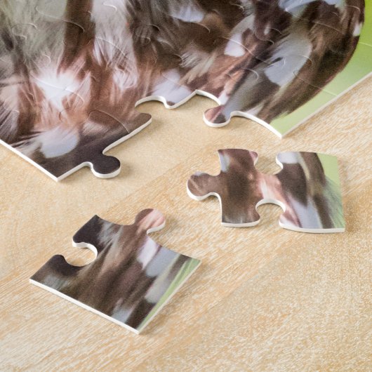 Barred Owl Legpuzzel (Zijkant)