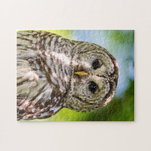 Barred Owl Legpuzzel (Horizontaal)