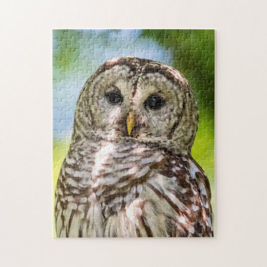 Barred Owl Legpuzzel (Verticaal)