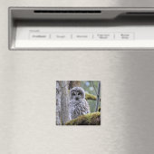 Barred Owl Lovers Magnet (Insitu (Vaatwasser))