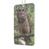 Barred Owl Luchtverfrisser (Links)