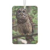 Barred Owl Luchtverfrisser (Achterkant)
