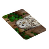 Barred Owl Magneet (Rechterzijde)