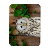 Barred Owl Magneet (Verticaal)