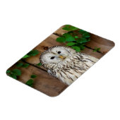 Barred Owl Magneet (Linkerzijde)
