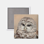 Barred Owl Magneet (Voorkant / Achterkant)