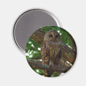 Barred Owl Magnet (Voorkant / Achterkant)