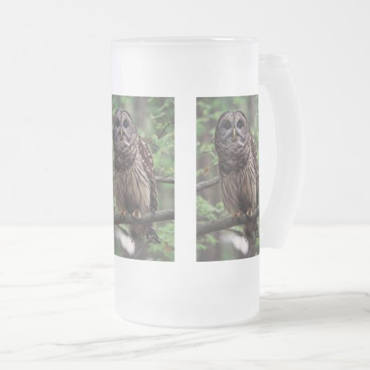 Barred Owl Matglas Bierpul (Voorkant rechts)