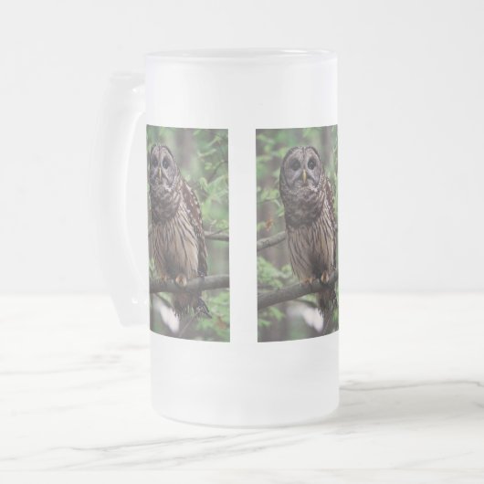 Barred Owl Matglas Bierpul (Voorkant links)