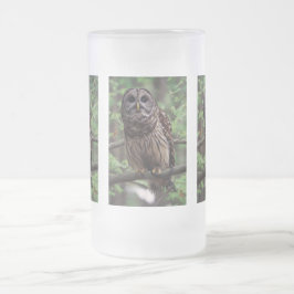 Barred Owl Matglas Bierpul