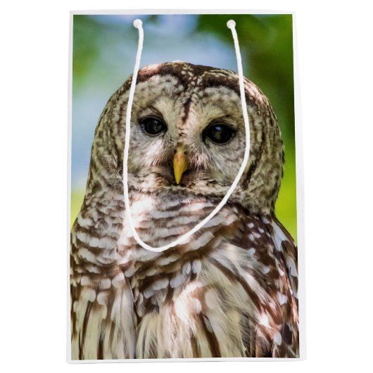 Barred Owl Medium Cadeauzakje (Voorkant)
