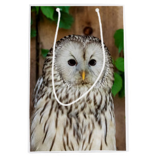 Barred Owl Medium Cadeauzakje