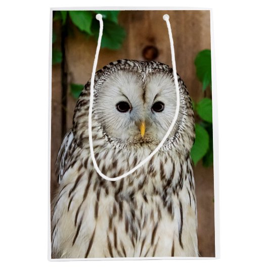 Barred Owl Medium Cadeauzakje (Voorkant)