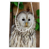 Barred Owl Medium Cadeauzakje (Achterkant)