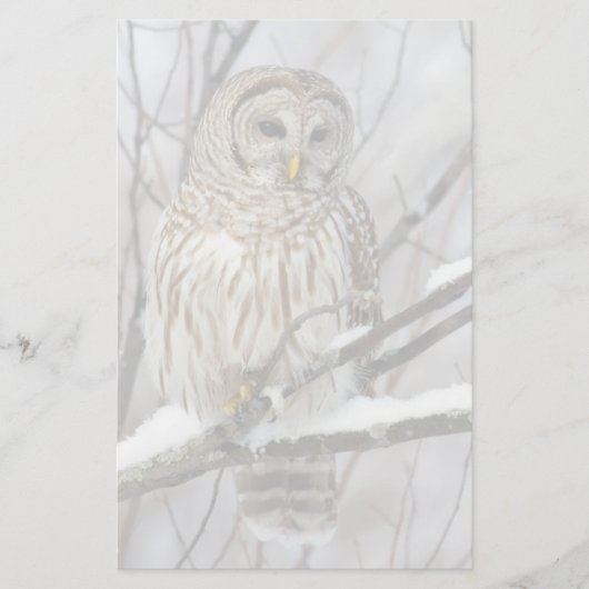 Barred Owl met lichte sneeuwval Briefpapier (Voorkant)
