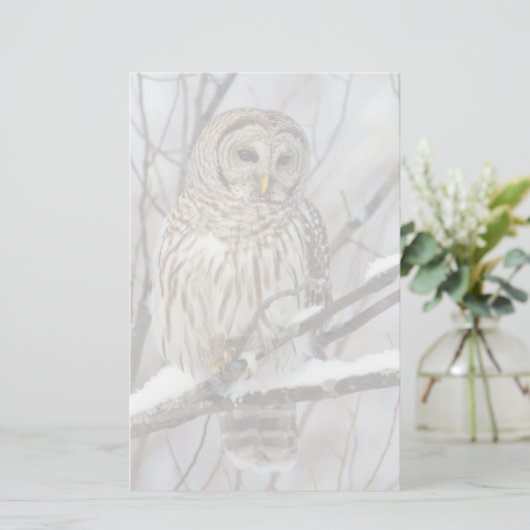 Barred Owl met lichte sneeuwval Briefpapier (Staand voorkant)