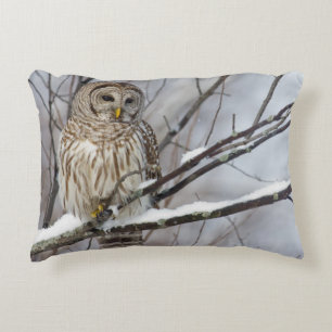 Barred Owl met lichte sneeuwval Decoratief Kussen
