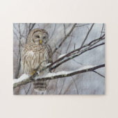 Barred Owl met lichte sneeuwval Legpuzzel (Horizontaal)