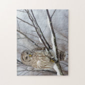 Barred Owl met lichte sneeuwval Legpuzzel (Verticaal)