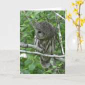 Barred Owl met Neck Feathers gefluffeld Kaart (Gele Bloem)