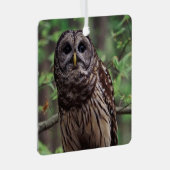 Barred Owl Metalen Ornament (Voorkant Rechts)