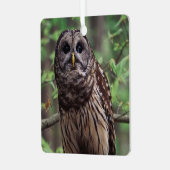 Barred Owl Metalen Ornament (Voorkant links)
