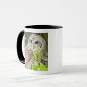 Barred Owl Mok (Voorkant links)