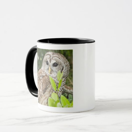 Barred Owl Mok (Voorkant links)