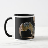 Barred Owl Mok (Links)