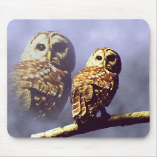 Barred Owl Mousepad Muismat