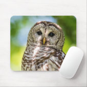 Barred Owl Muismat (Met muis)