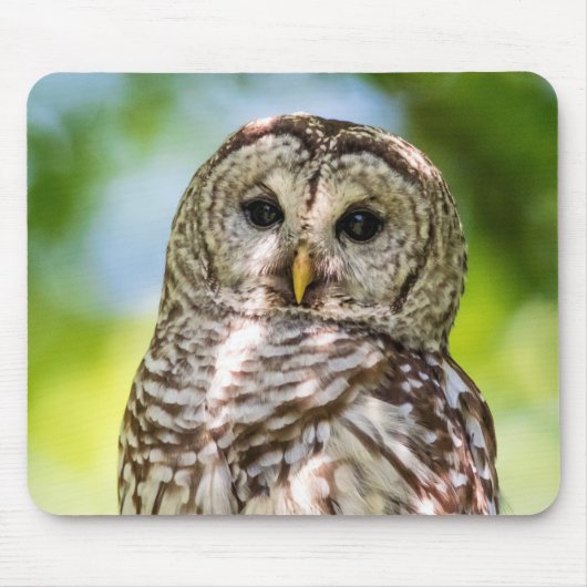 Barred Owl Muismat (Voorkant)