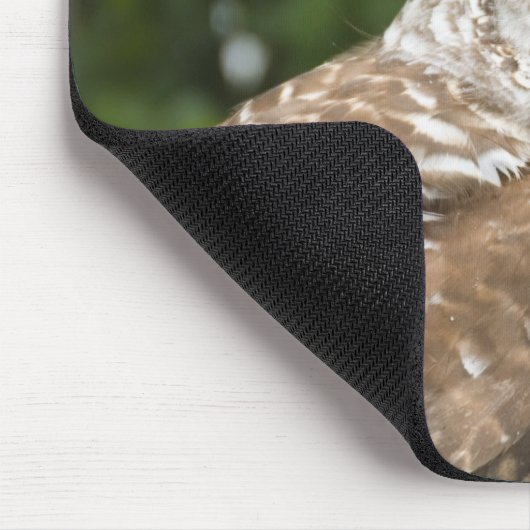 Barred Owl Muismat (Hoek)