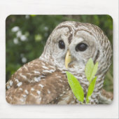 Barred Owl Muismat (Voorkant)