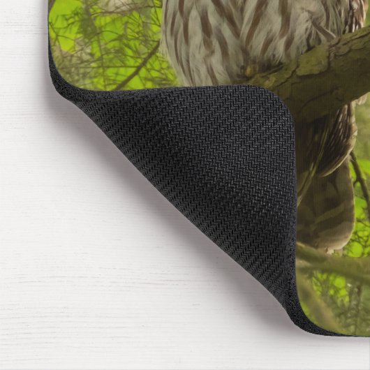 Barred Owl Muismat (Hoek)