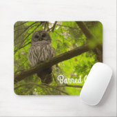 Barred Owl Muismat (Met muis)