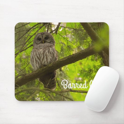 Barred Owl Muismat (Met muis)