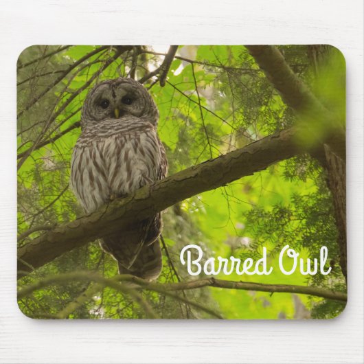 Barred Owl Muismat (Voorkant)