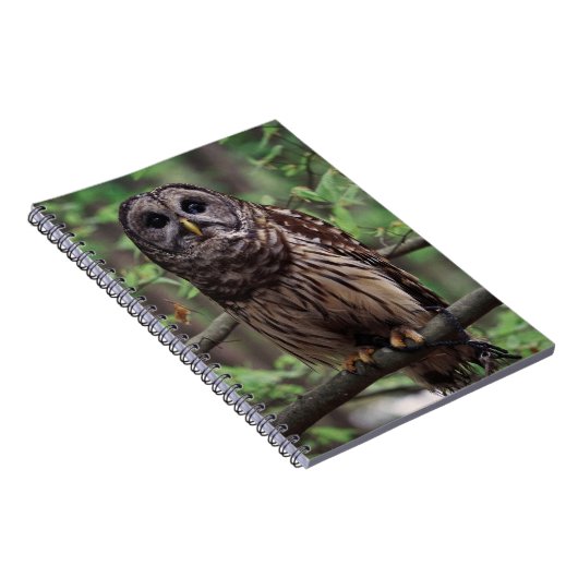 Barred Owl notebook Notitieboek (Rechterzijde)